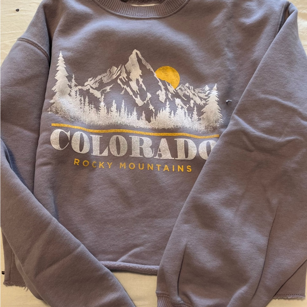 Purple Hollister crew neck XS super cute